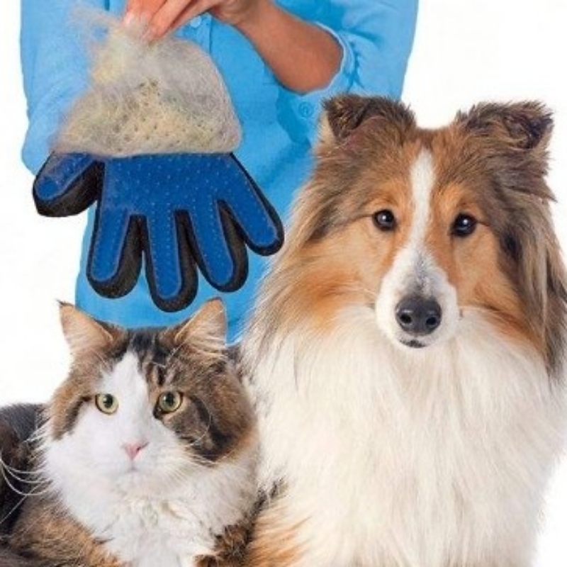 دستکش ماساژ و جمع کننده موی سگ و گربه