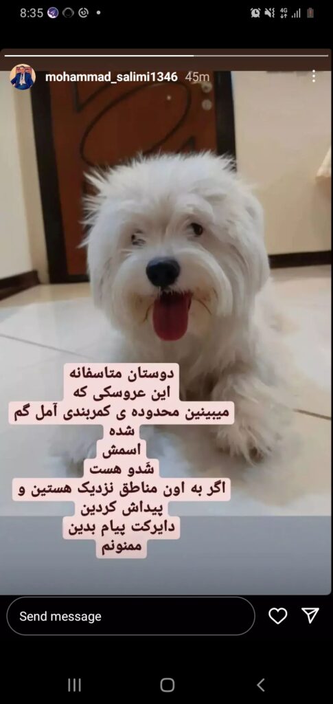 گمشده