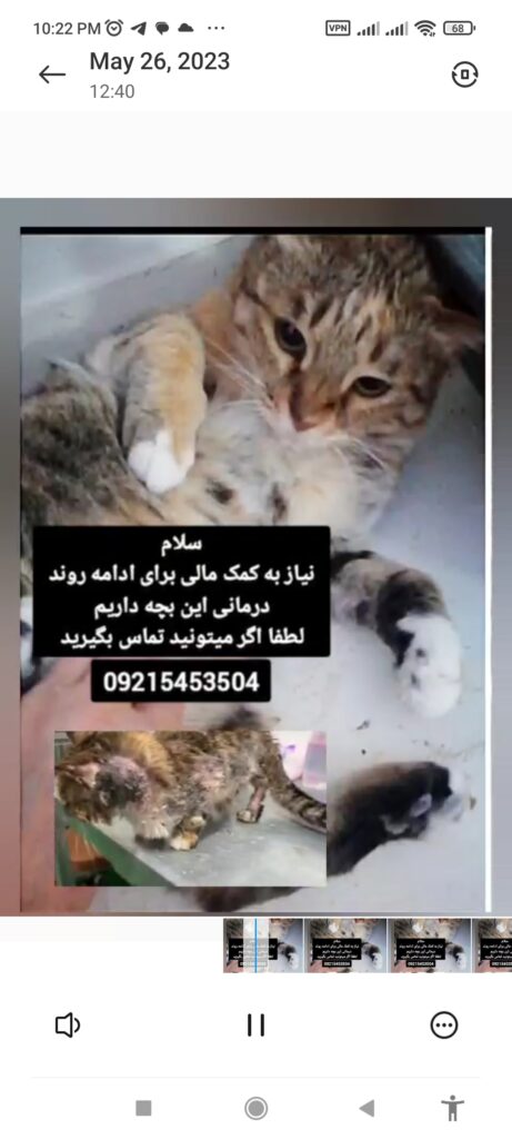 واگذاری- سرپرستی
