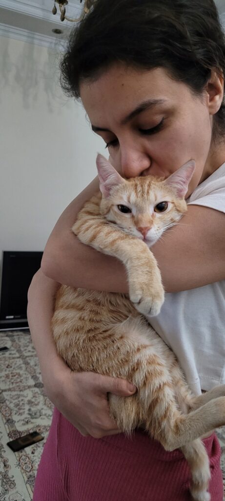 ۵ میلیون پاداش برای گربه نارنجی سفید گمشده در نارمک تهران