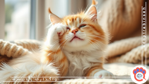 گلوله مویی گربه
