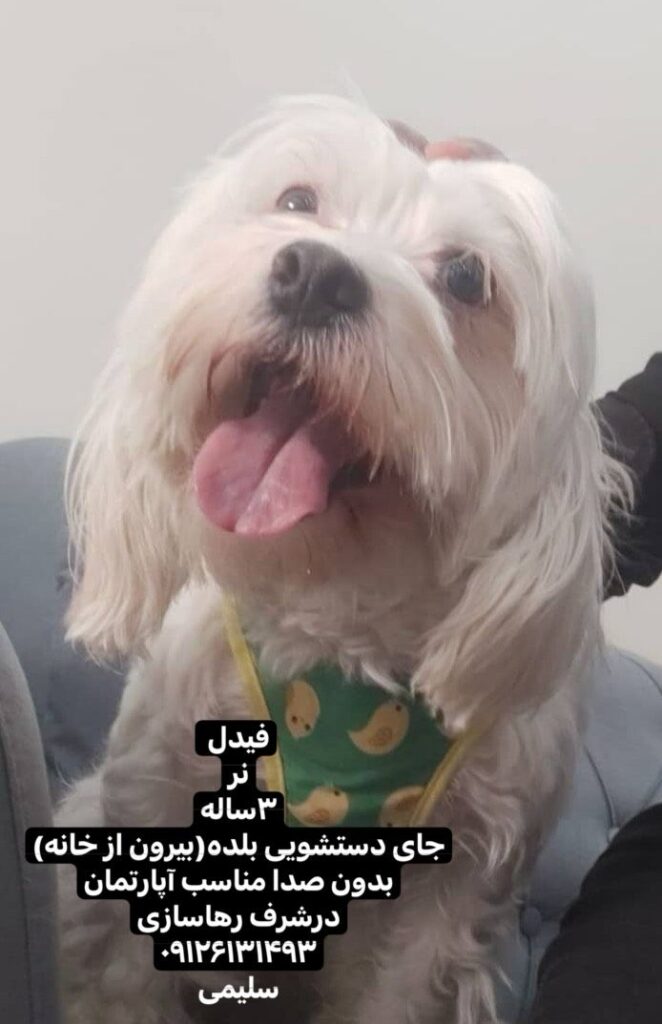 واگذاری