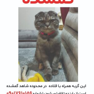 مایا دختر گم شده