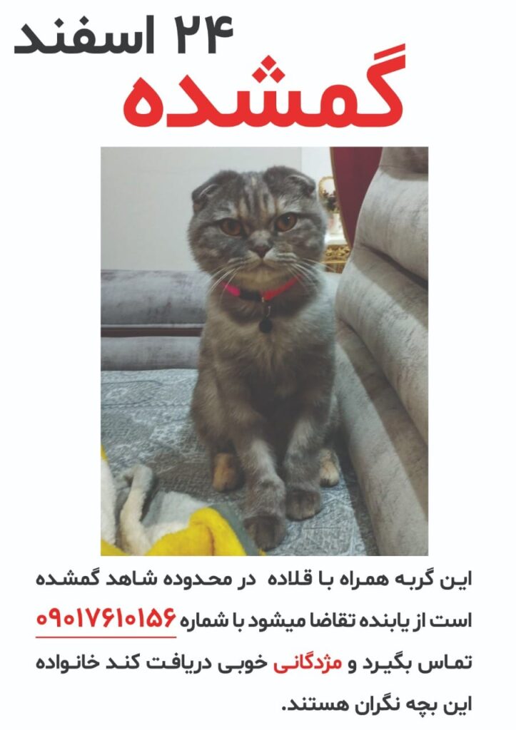 مایا دختر گم شده