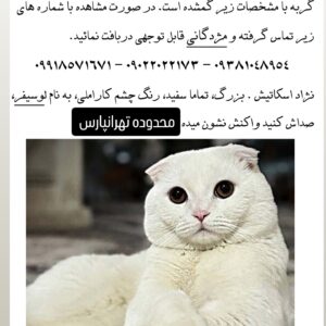 گمشده