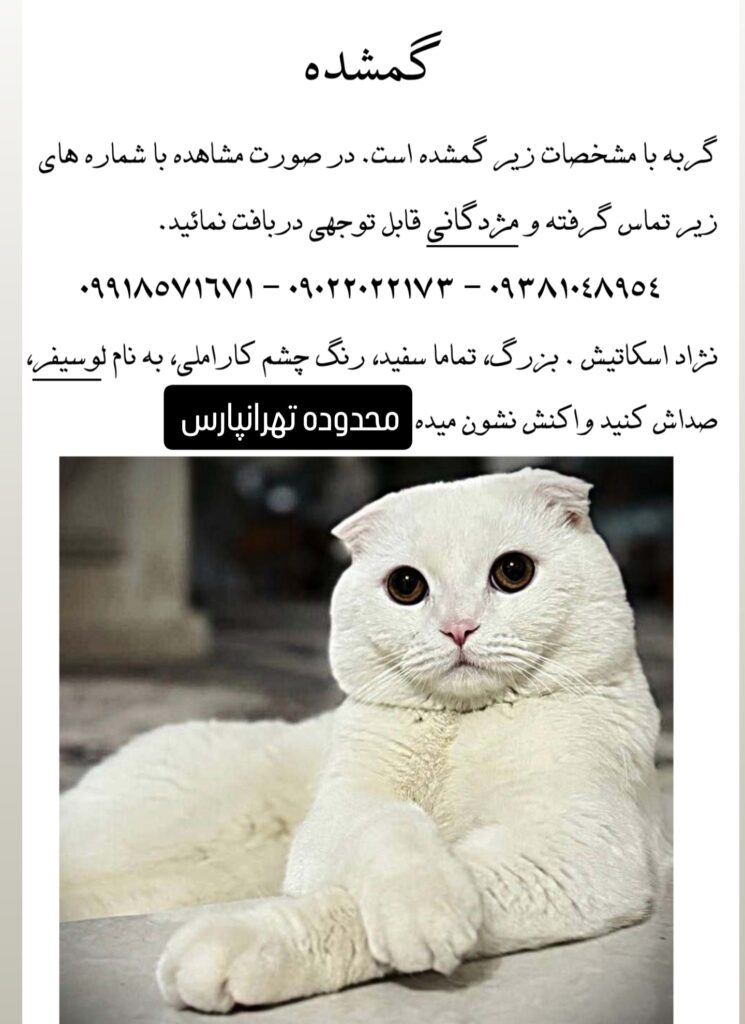 گمشده