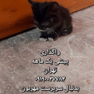 واگذاری