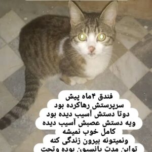 واگذاری