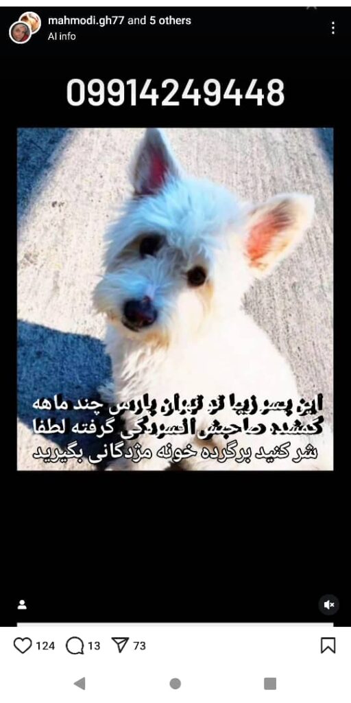 پسرم چهار ساله