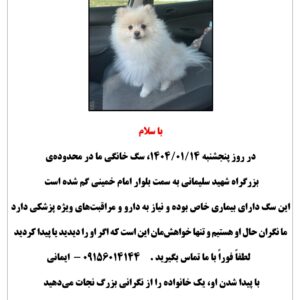 گمشده پامر سفید