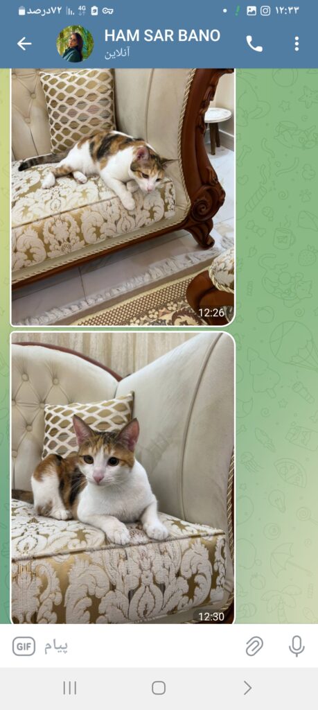 واگزاری حیوان خانگی کربه