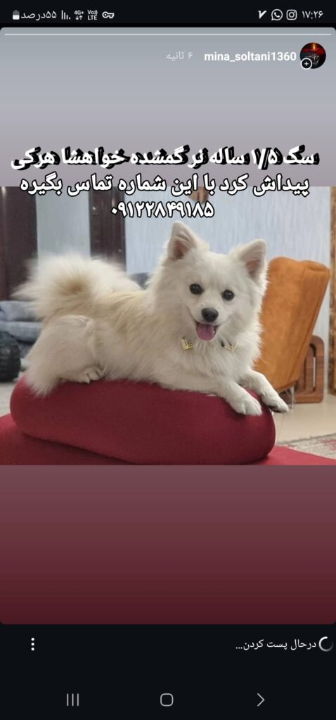 گمشده