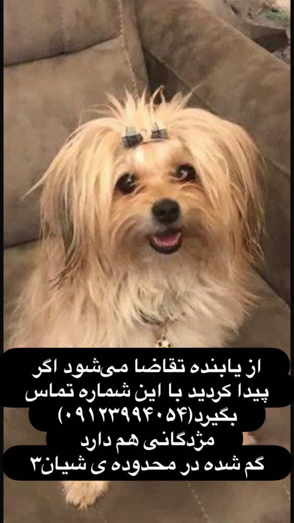گم شده در محدوده شیان
