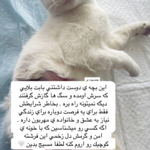 واگذاري گربه