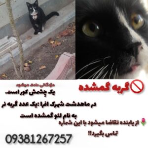 گمشده
