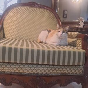 واگذاری طلا دختری زیبا