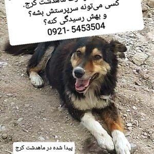 واگذاری سرپرستی شجاع