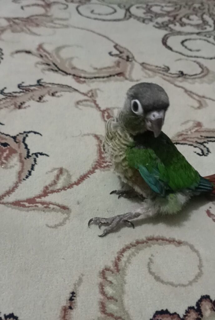 نیاز به جراحی