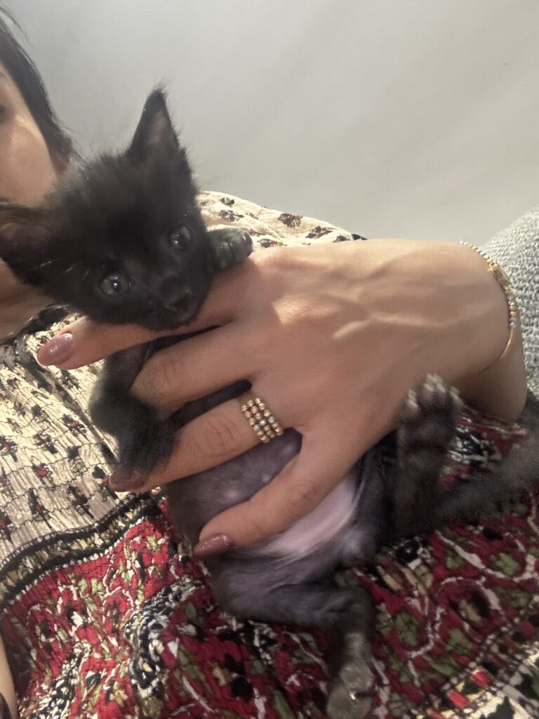 مورچه ، پسر کوچولوی ۲/۵ ماهه