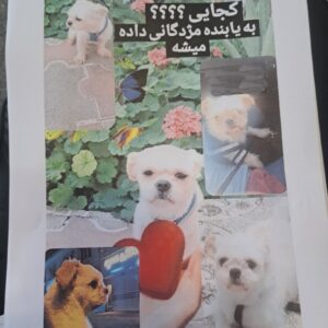 به یابنده مژدگانی داده میشه