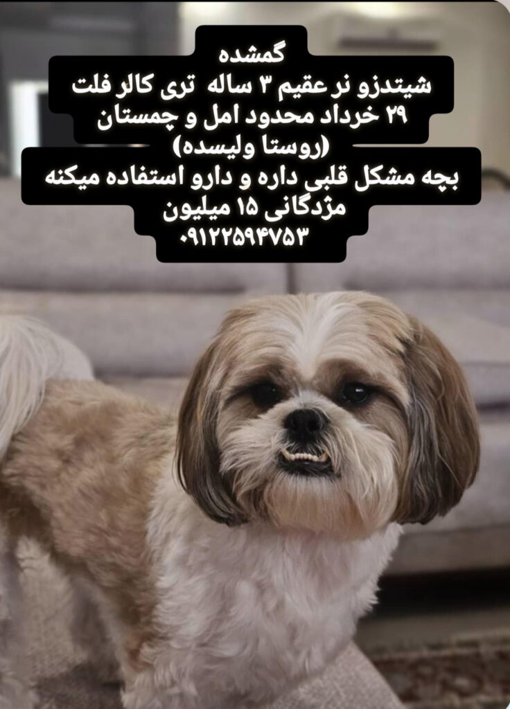 گمشده