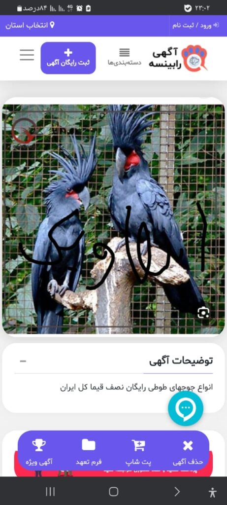 إسکندر پدر طوطی ایران زمین
