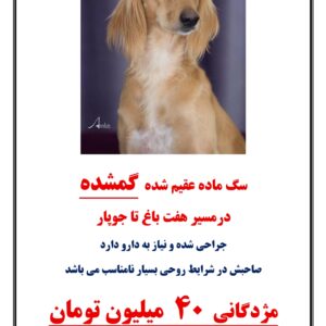 گمشده کرمان هفت باغ
