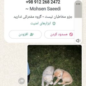 سگ غیرآپارتمانی