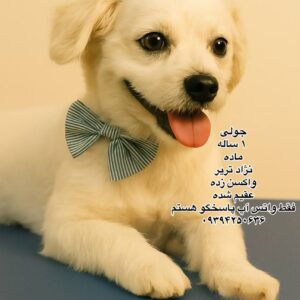 دختر یک ساله تریر