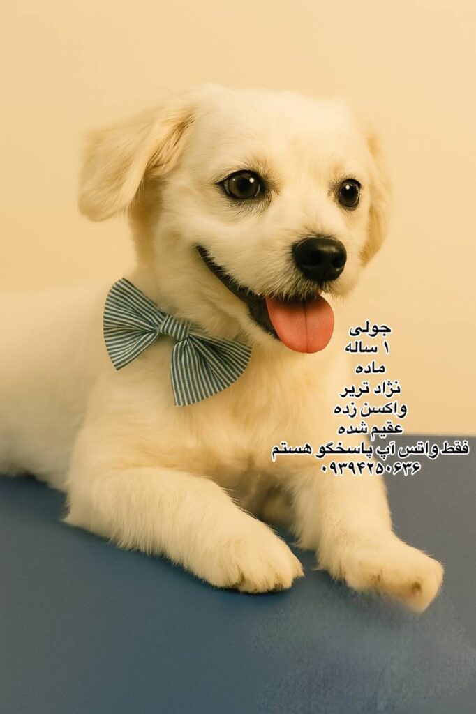 دختر یک ساله تریر