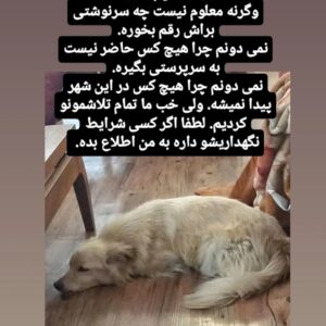 پسر مهربان اهوازی