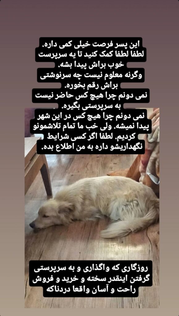 پسر مهربان اهوازی