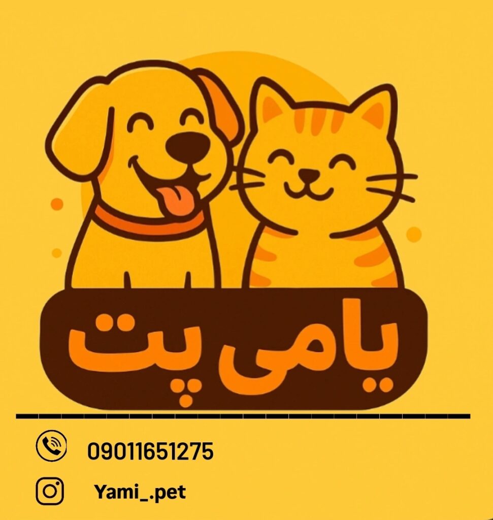 غذای خانگی گربه و سگ