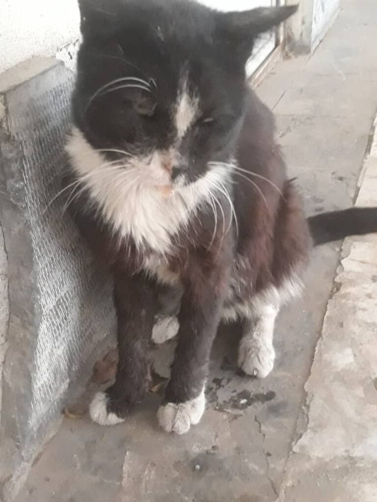 امداد فوری