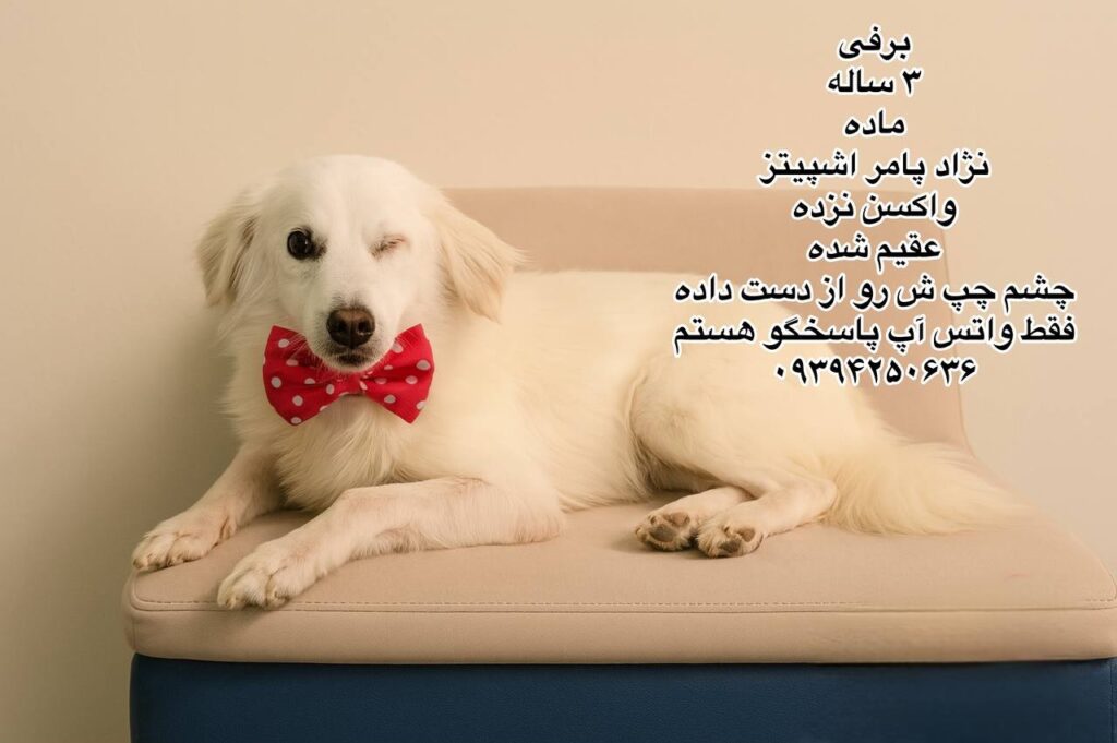 دختر سه ساله پامر اشپیتز