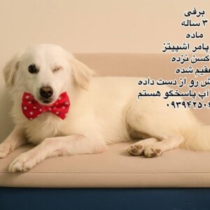 دختر سه ساله پامر اشپیتز