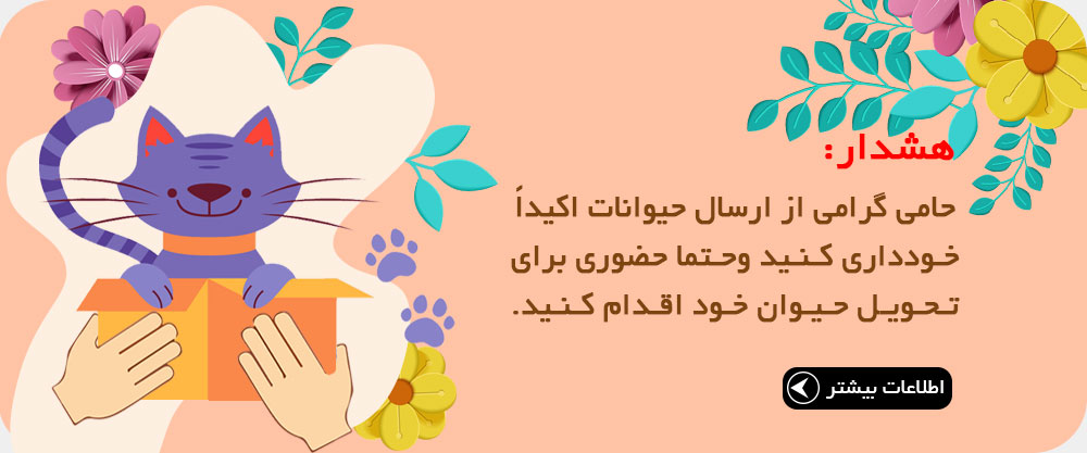 1404 بهار