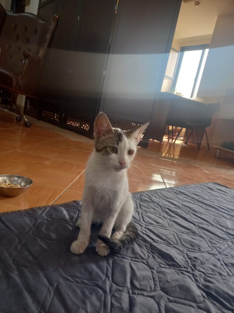 دختر بانمک و شکمو