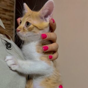 یک عدد کوچولوی مهربون