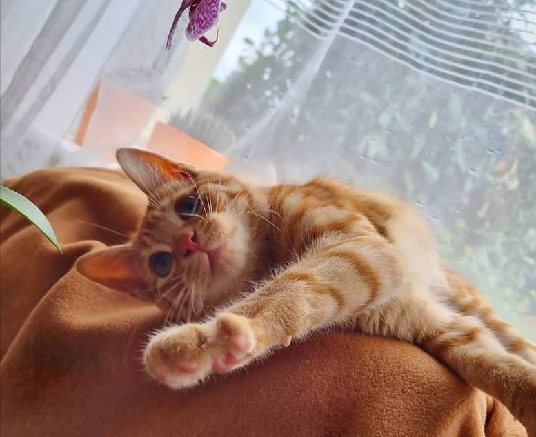 ناتی❤️