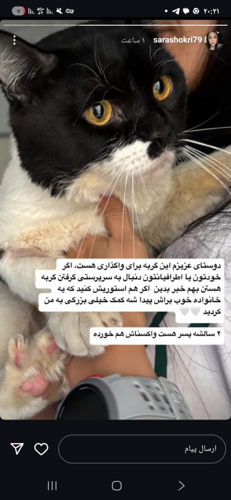 پیشی تاکسیدو