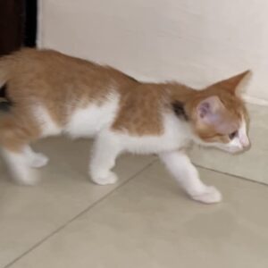لونا خانم زیبا و مهربون