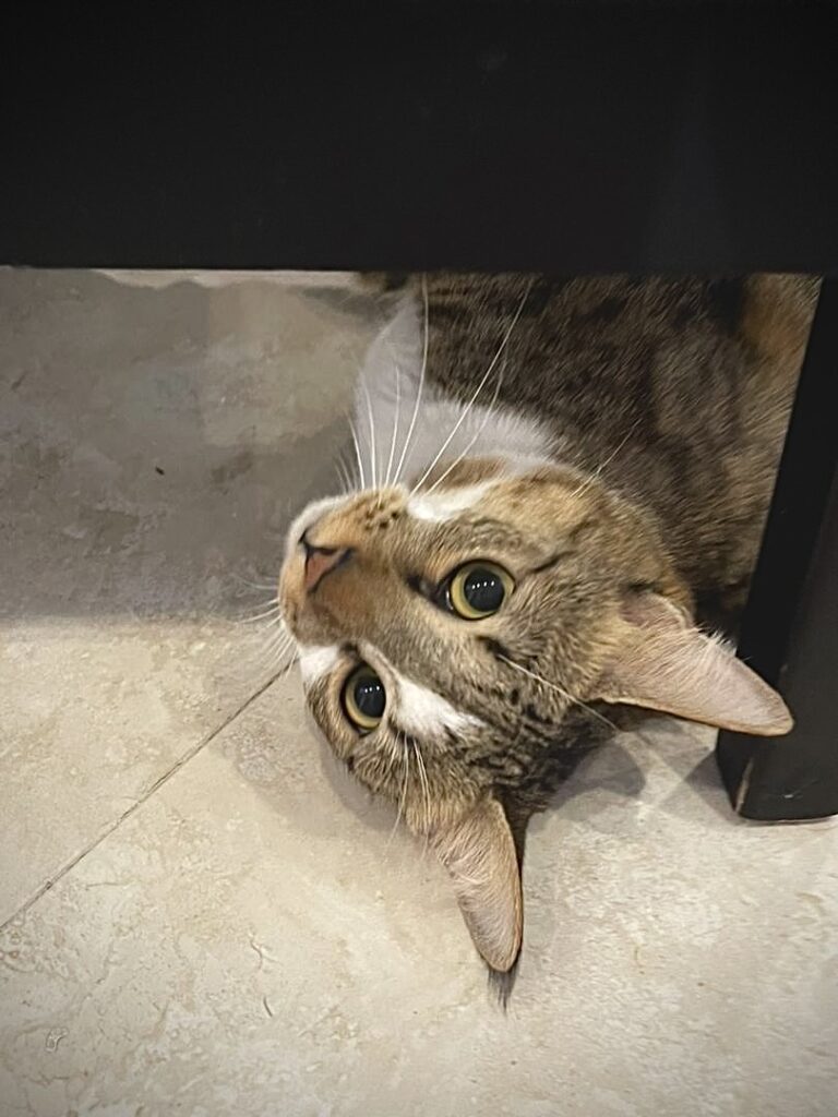 حنا ❤️