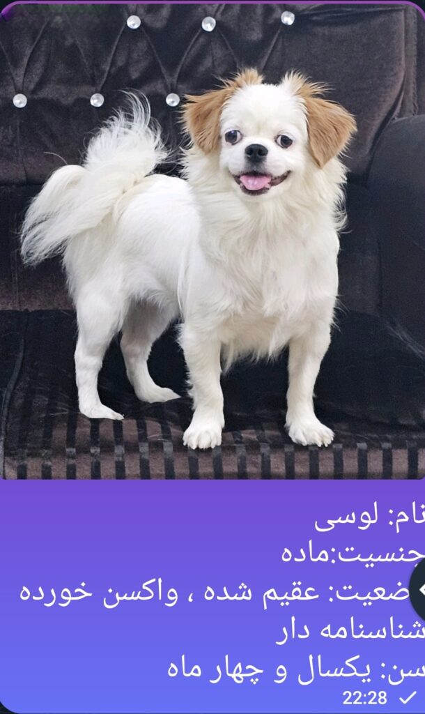 واگذاری به خانواده