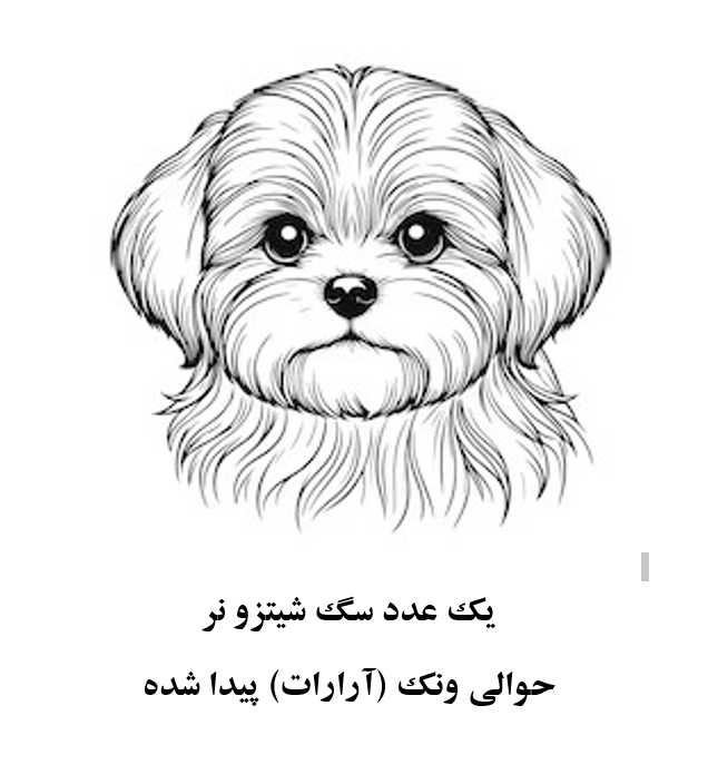 سگ شیتزو نر
