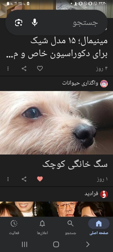 سگ گمشدم