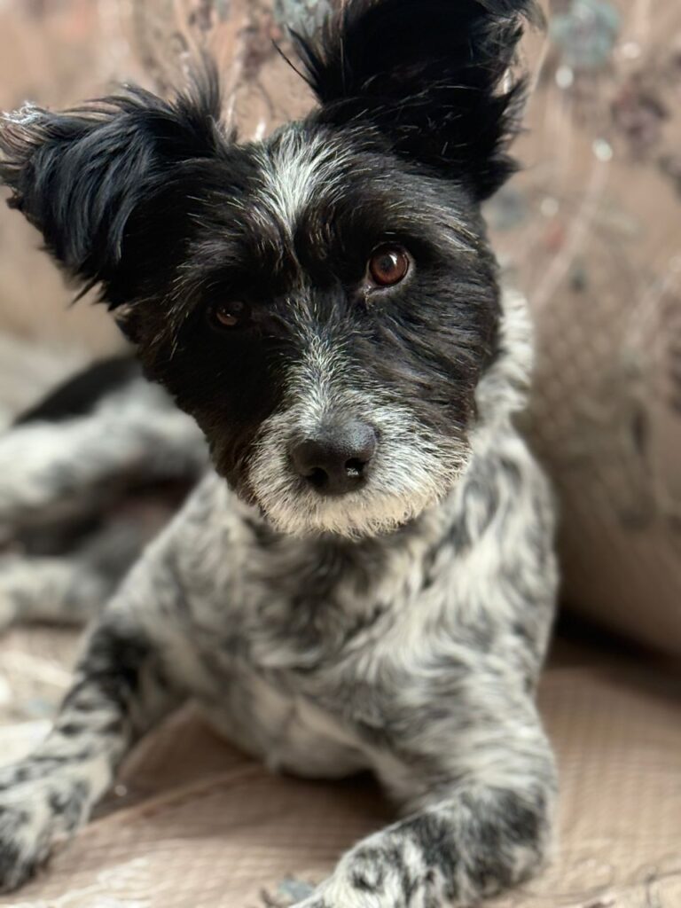 پیدا شده حوالی فرمانیه