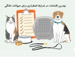 شرایط اضطراری برای حیوانات خانگی