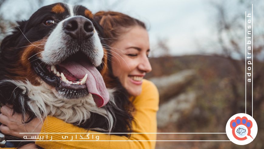 پیگیری‌های بعد از واگذاری و اطمینان از سازگاری حیوان