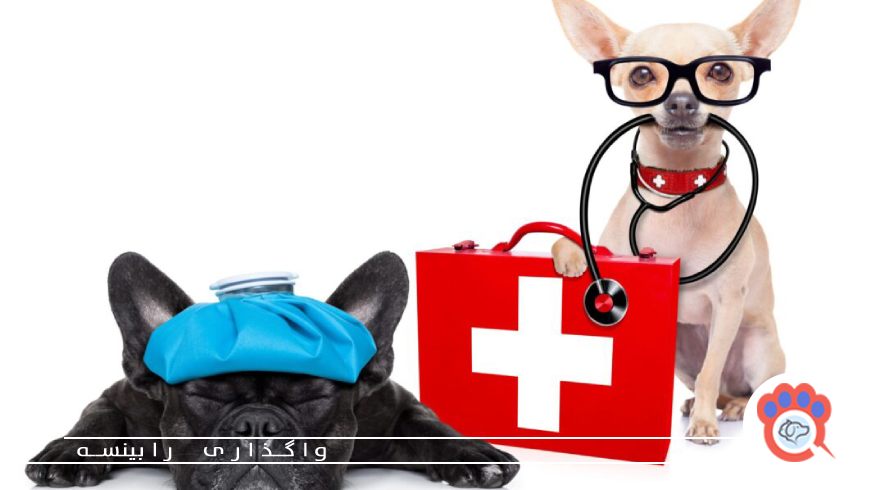 پیشگیری از بروز شرایط اضطراری در حیوانات خانگی
